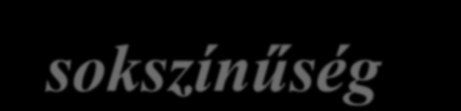 Feminista földrajzok
