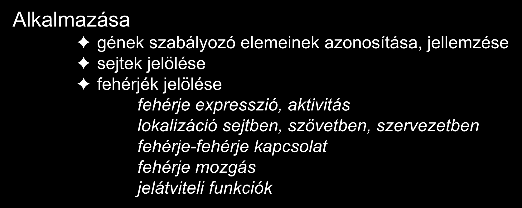 Riportergéneket expresszáló transzgenikus egerek A riportergén egy olyan fehérjét kódol, amelynek az expressziója egy meghatározott génhez kötött és nem befolyásolja a sejtfunkciót.