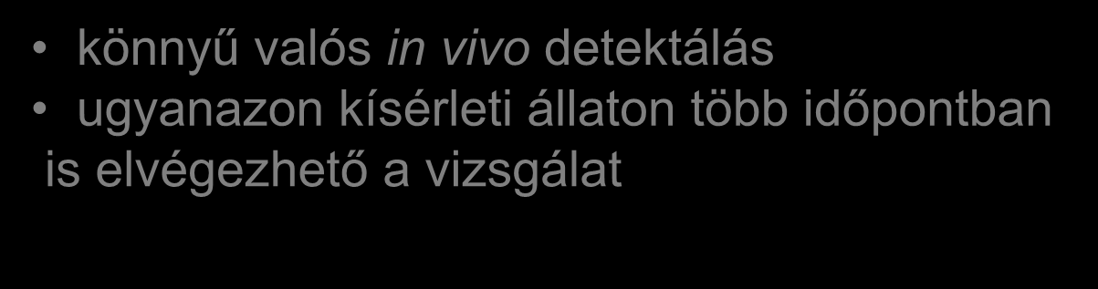 A génexpresszió helye in vivo detektálható a