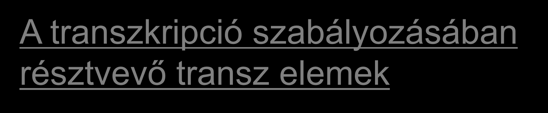 A transzkripció