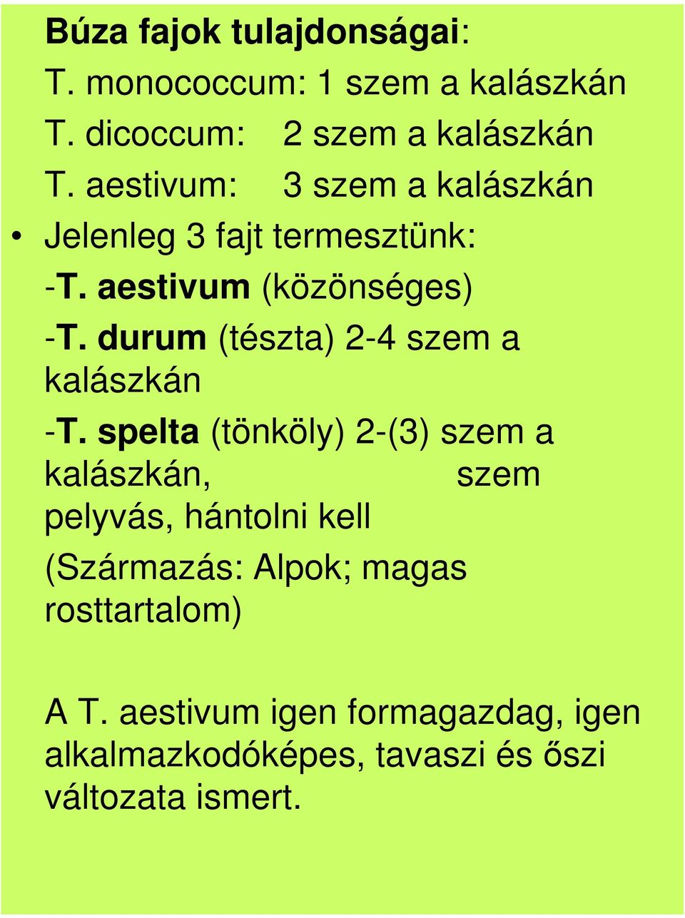 durum (tészta) 2-4 szem a kalászkán -T.