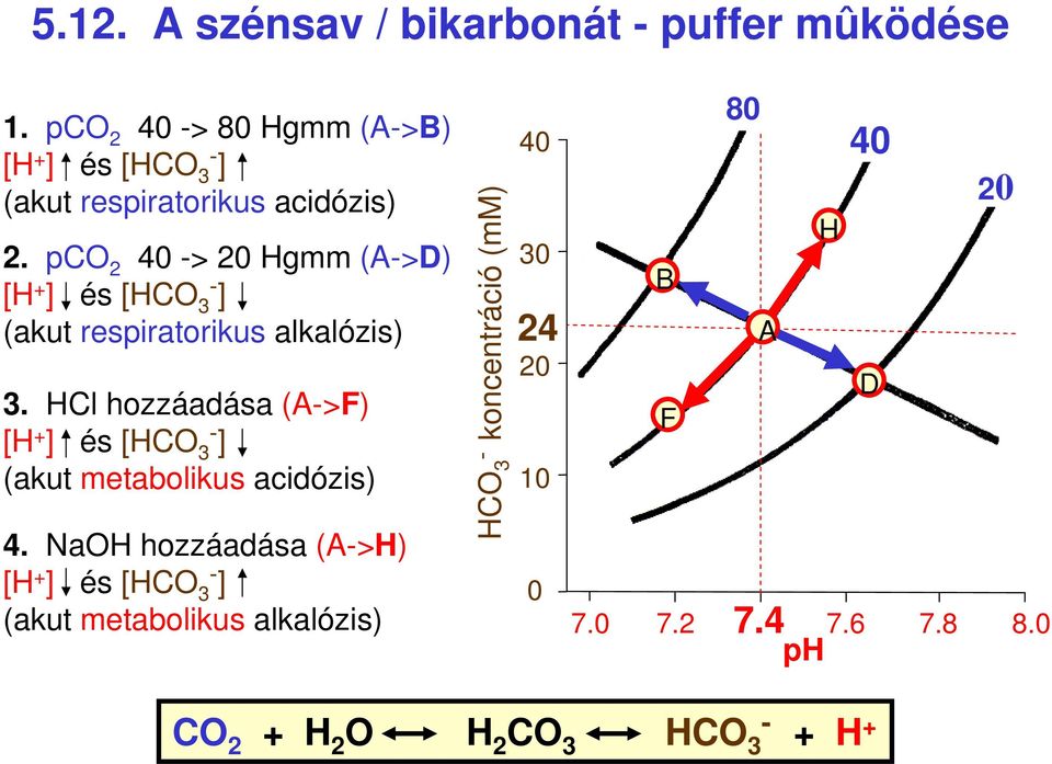 pco 2 40 > 20 Hgmm (A>D) [H ] és [ ] (akut respiratorikus alkalózis) 3.