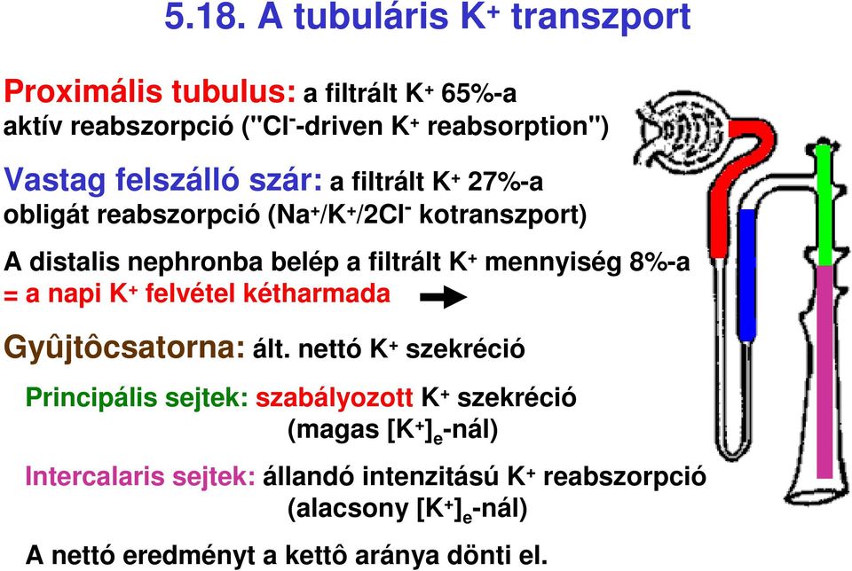 mennyiség 8%a = a napi K felvétel kétharmada Gyûjtôcsatorna: ált.