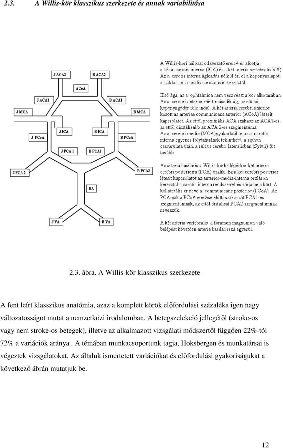 a nemzetközi irodalomban.