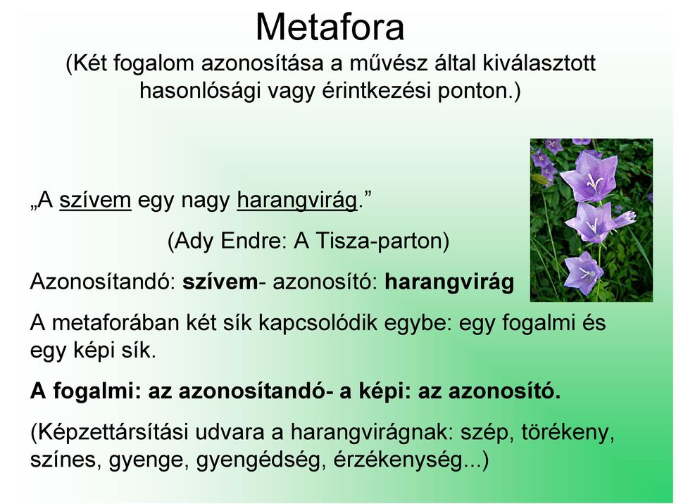 (Ady Endre: A Tisza-parton) Azonosítandó: szívem- azonosító: harangvirág A metaforában két sík kapcsolódik