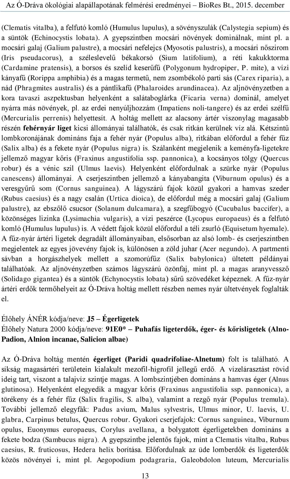 pratensis), a borsos és szelíd keserűfű (Polygonum hydropiper, P.