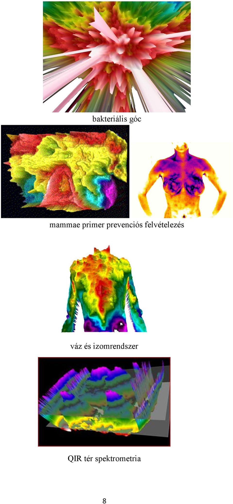 felvételezés váz és