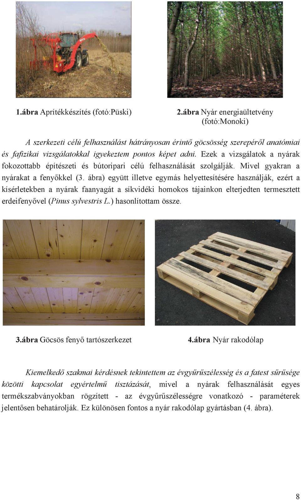 Ezek a vizsgálatok a nyárak fokozottabb építészeti és bútoripari célú felhasználását szolgálják. Mivel gyakran a nyárakat a fenykkel (3.