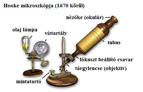 1. Digitális optikai mikroszkópia 1.1. A fénymikroszkóp rövid története Amikor mikroszkópról hallunk, akkor általában sok lencsés, tekintélyes eszközre gondolunk.