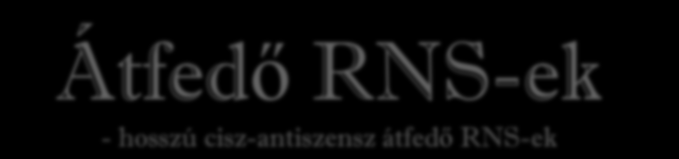 Átfedő RNS-ek - hosszú cisz-antiszensz átfedő RNS-ek 23.