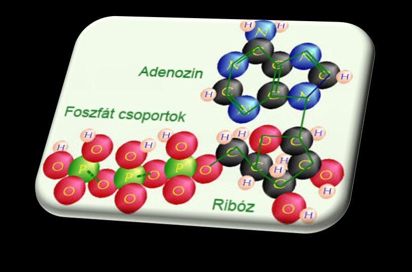 ATP 4.