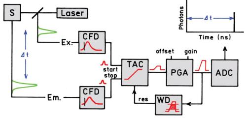 Fluoreszcencia intenzitás (cps) Intenzitás Időkorrelált egy-foton számlálás /TCSPC/ 1000 PEVK11 IAEDANS Fluoreszcencia élettartam mérése frekvencia-függő mérés ( frequency domain