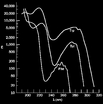 Intenzitás Fluoreszcencia élettartam mérése frekvencia-függő mérés ( frequency domain measurement ) Demoduláció (modulációs mélység) Fáziskülönbség Fluoreszcens festékek natív vagy intrinsic