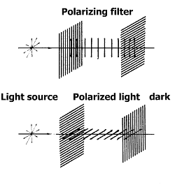 Optikai szűrők Longpass-filterek (Felüláteresztő szűrők) Optikai szűrők Magasabb hullámhosszú fénysugarakat enged át. Általában éles csúcs jellemzi őket.