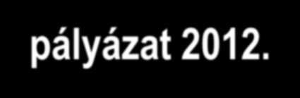 Közterület helyett emberibb körülmények pályázat 2012.