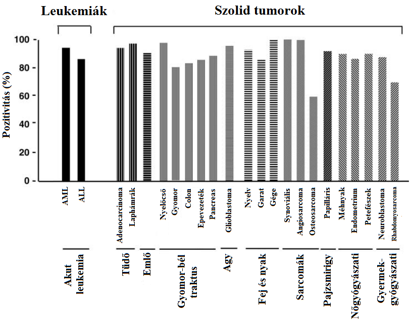 velejárója e kórképeknek: mindössze arról van szó, hogy a WT1 olyan sejttípusokban, szövetekben expresszálódik, ahol normális esetben nem kerül transzkripcióra (Miller- Hodges és Hohenstein, 2012). 6.