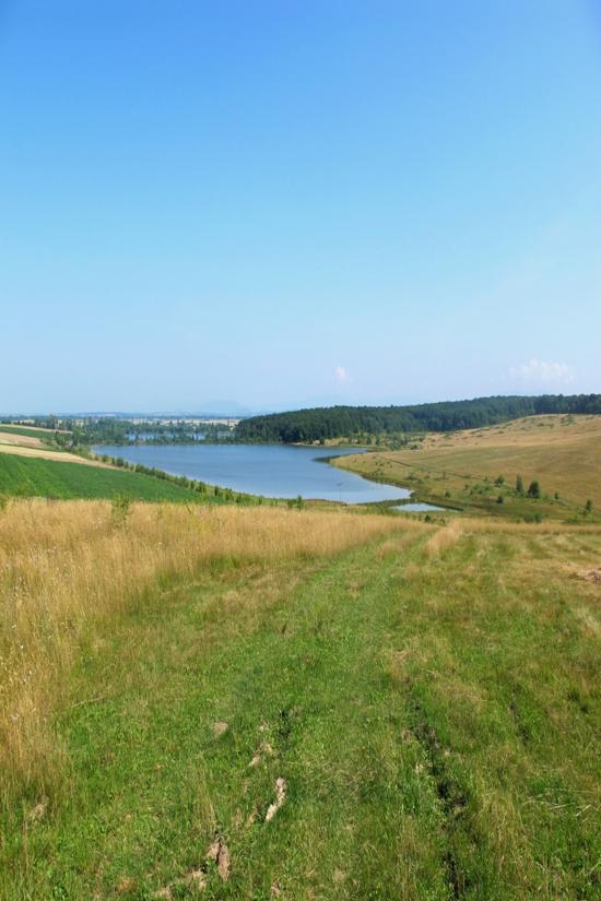 KÖRNYEZETGAZDÁLKODÁS BEVEZETŐ