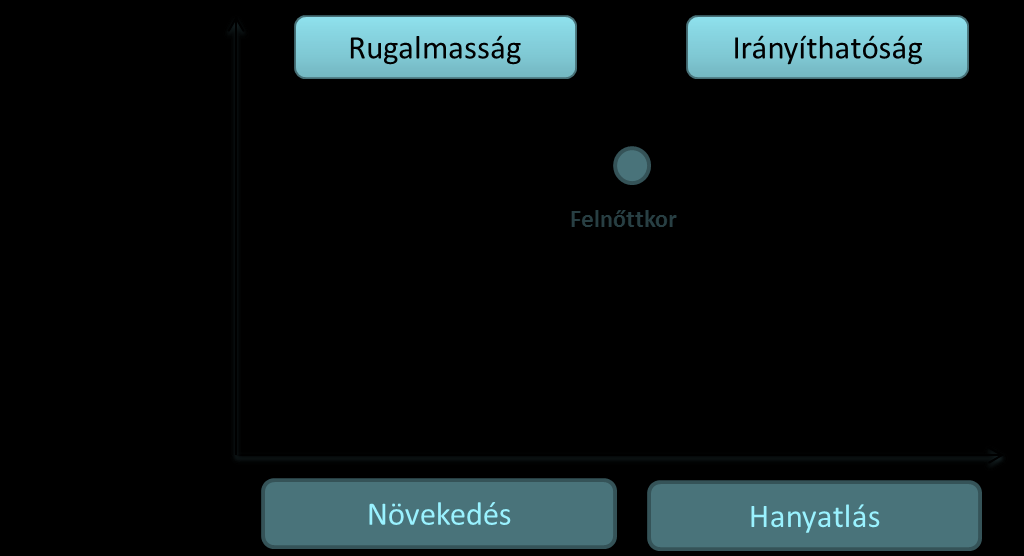 Rugalmasság vs.