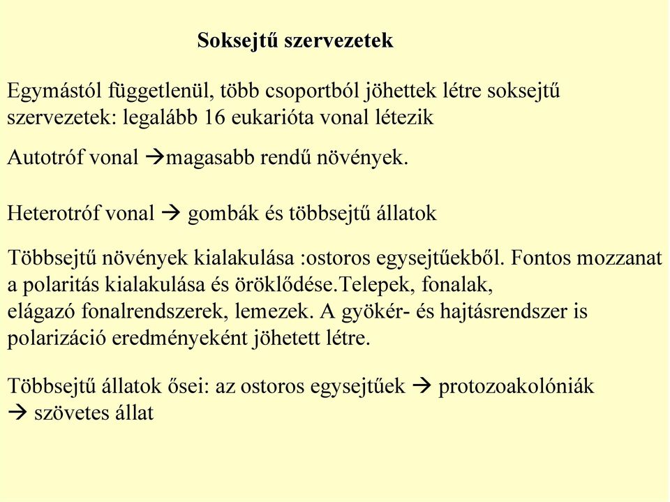 Heterotróf vonal gombák és többsejtű állatok Többsejtű növények kialakulása :ostoros egysejtűekből.