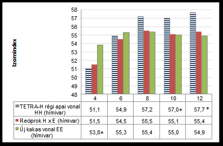 (P <0,05) 5. ábra Eltérő genotípusú csirkék izombeépülésének változása 4 és 12 hetes életkor között hímivarban - 2.