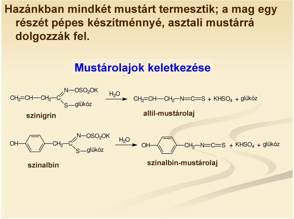 Mustárolajok Mustárolajok keletkezése keletkezése CH 2 CH CH 2 C szinigrin N S OSO 2 OK
