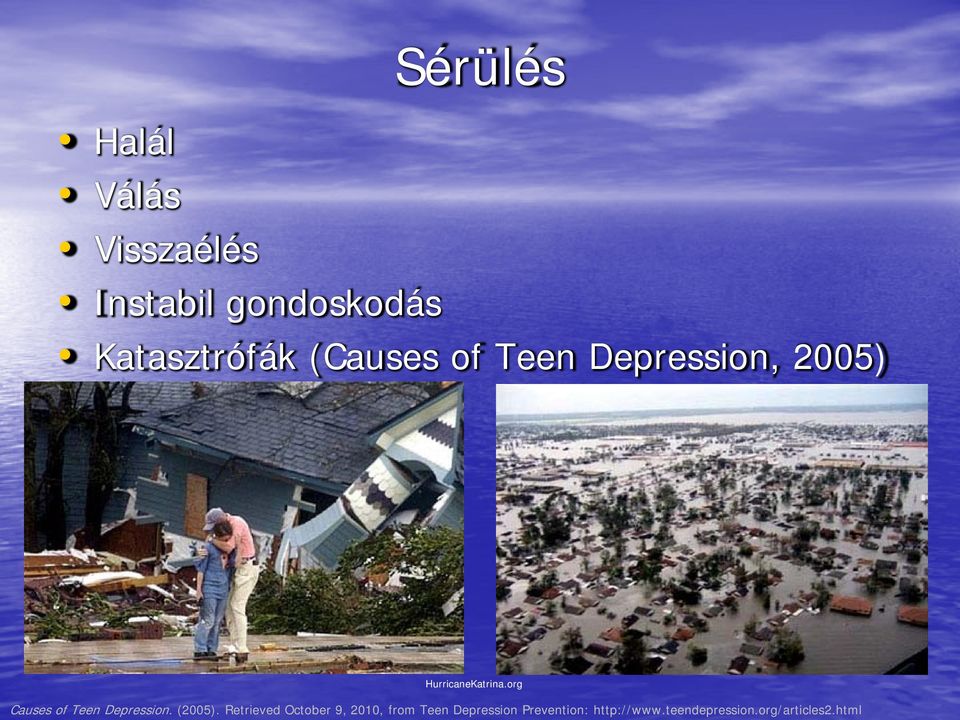 org Causes of Teen Depression. (2005).