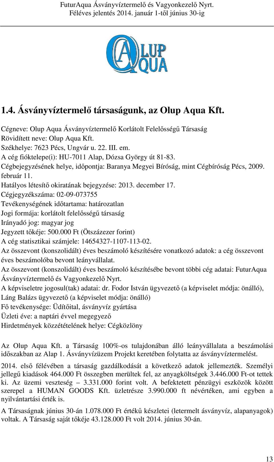 Hatályos létesítő okiratának bejegyzése: 2013. december 17.