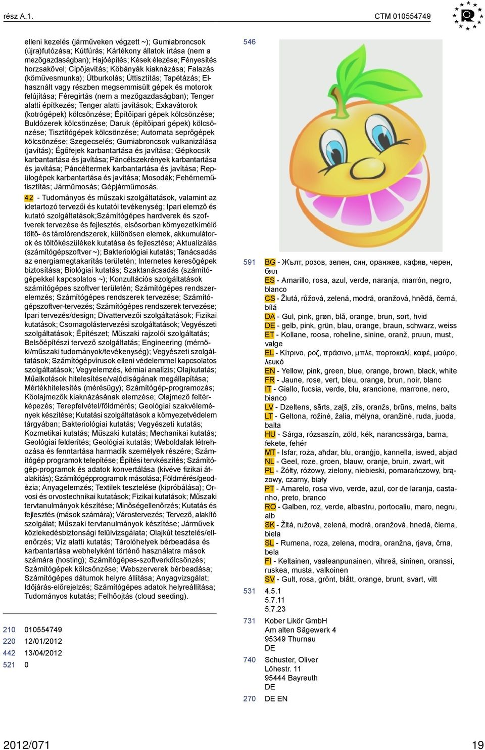 Cipőjavítás; Kőbányák kiaknázása; Falazás (kőművesmunka); Útburkolás; Úttisztítás; Tapétázás; Elhasznált vagy részben megsemmisült gépek és motorok felújítása; Féregirtás (nem a mezőgazdaságban);