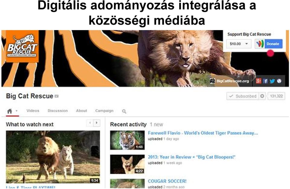 integrálása a