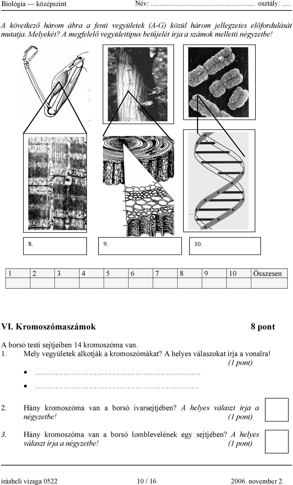 Kromoszómaszámok 8 pont A borsó testi sejtjeiben 14 kromoszóma van. 1. Mely vegyületek alkotják a kromoszómákat? A helyes válaszokat írja a vonalra!