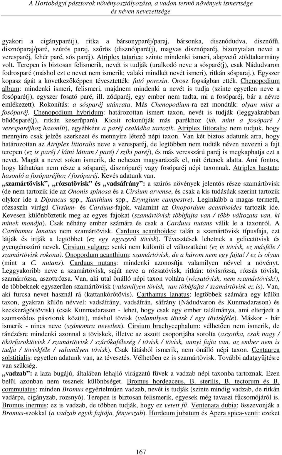 Atriplex tatarica: szinte mindenki ismeri, alapvető zöldtakarmány volt.