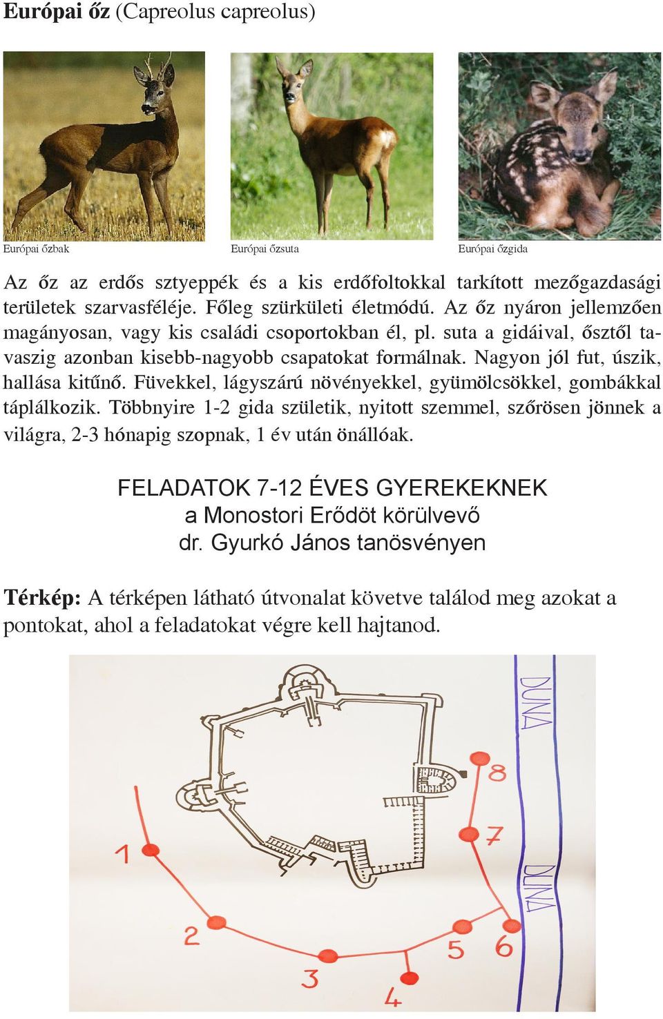 Nagyon jól fut, úszik, hallása kitűnő. Füvekkel, lágyszárú növényekkel, gyümölcsökkel, gombákkal táplálkozik.