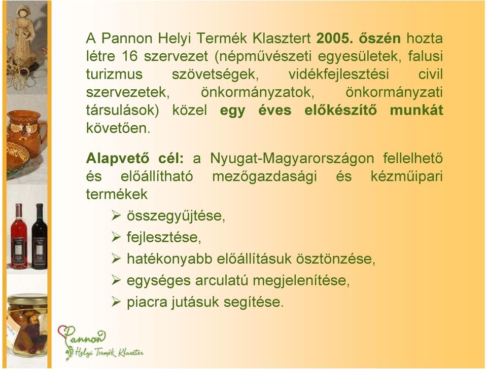 szervezetek, önkormányzatok, önkormányzati társulások) közel egy éves előkészítő munkát követően.