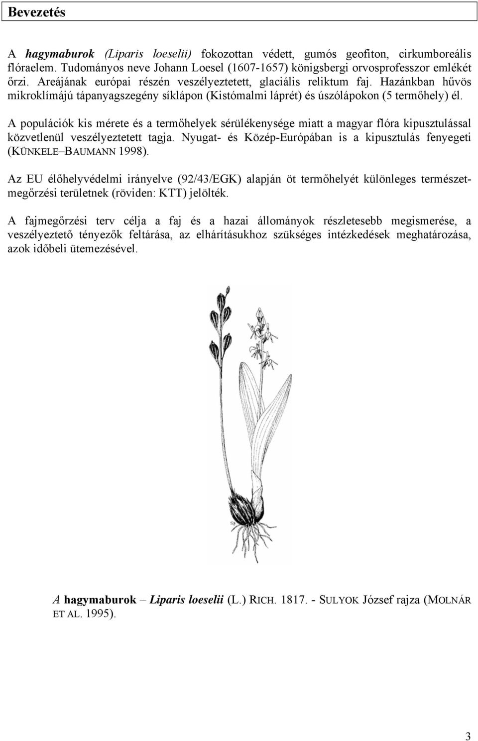 A populációk kis mérete és a termőhelyek sérülékenysége miatt a magyar flóra kipusztulással közvetlenül veszélyeztetett tagja.