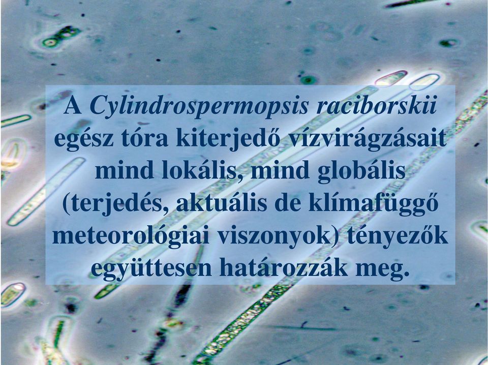 globális (terjedés, aktuális de klímafüggı