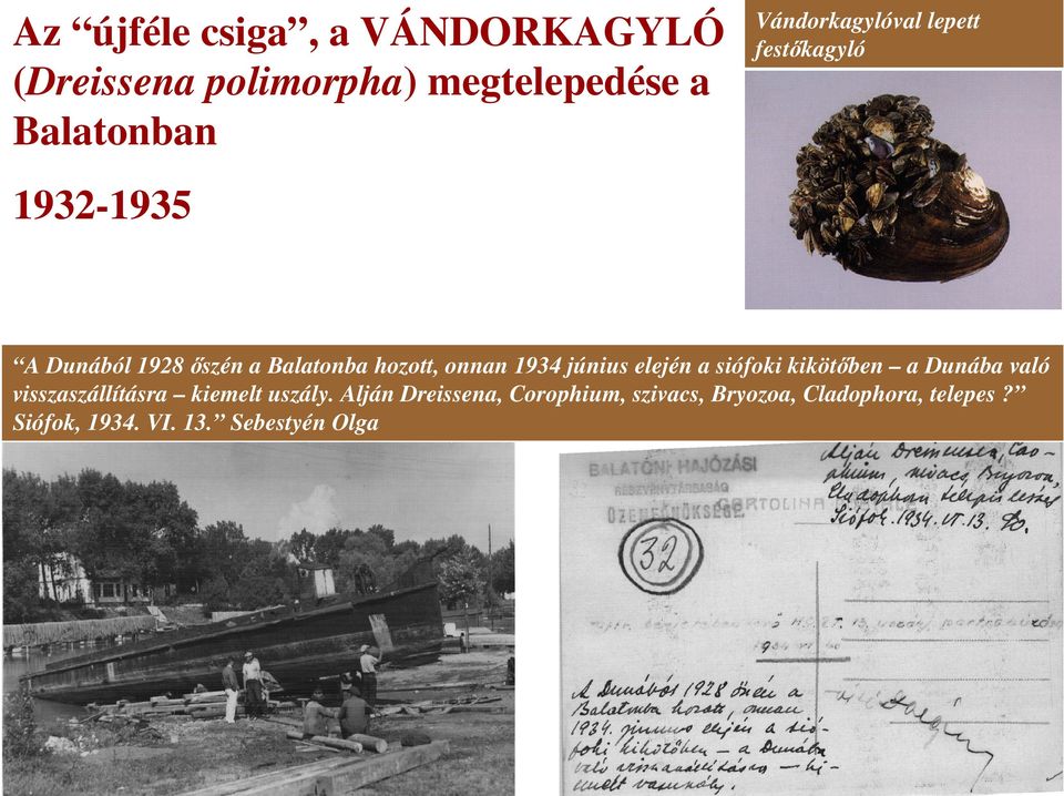 onnan 1934 június elején a siófoki kikötıben a Dunába való visszaszállításra kiemelt