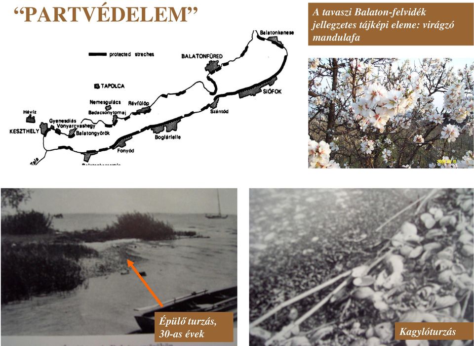 tájképi eleme: virágzó