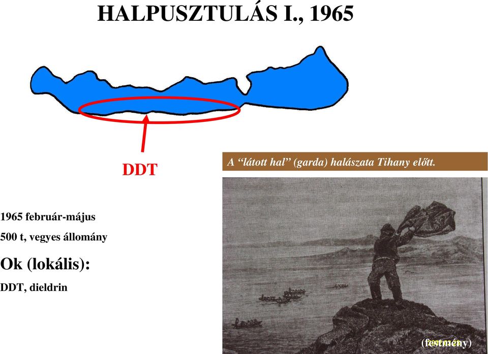halászata Tihany elıtt.