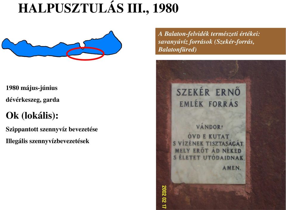 források (Szekér-forrás, Balatonfüred) 1980 május-június