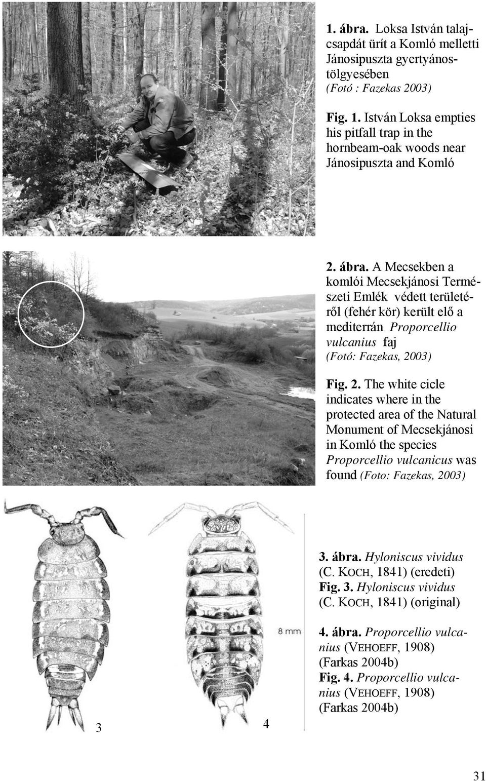 A Mecsek szárazföldi ászkarák együttesei (Isopoda: Oniscidea) - PDF Free  Download