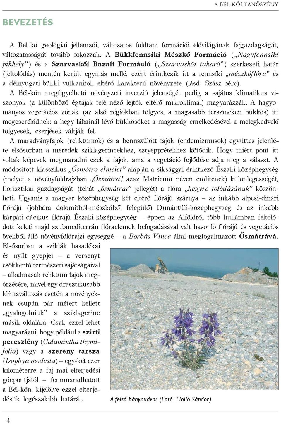 mészkőflóra és a délnyugati-bükki vulkanitok eltérő karakterű növényzete (lásd: Szász-bérc).