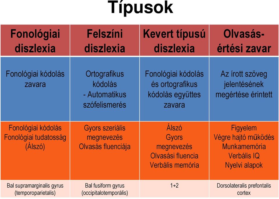 tudatosság (Álszó) Gyors szeriális megnevezés Olvasás fluenciája Álszó Gyors megnevezés Olvasási fluencia Verbális memória Figyelem Végre hajtó működés