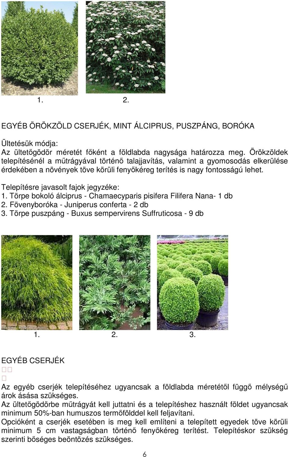 Telepítésre javasolt fajok jegyzéke: 1. Törpe bokoló álciprus - Chamaecyparis pisifera Filifera Nana- 1 db 2. Fövenyboróka - Juniperus conferta - 2 db 3.