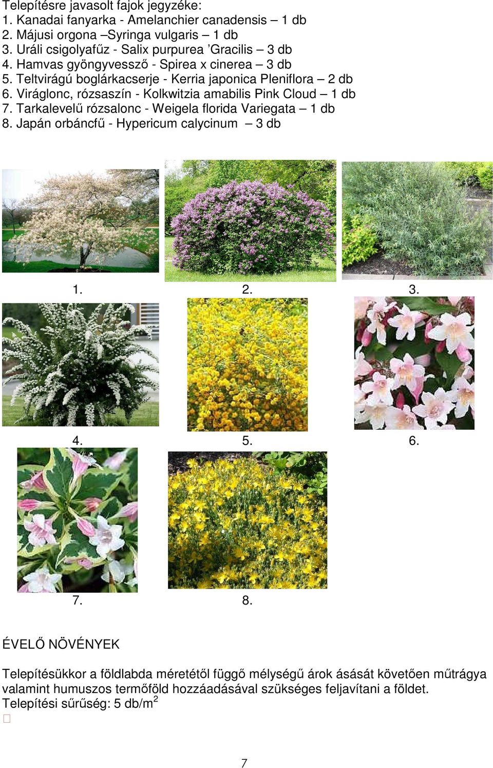 Viráglonc, rózsaszín - Kolkwitzia amabilis Pink Cloud 1 db 7. Tarkalevelő rózsalonc - Weigela florida Variegata 1 db 8. Japán orbáncfő - Hypericum calycinum 3 db 1. 2. 3. 4.