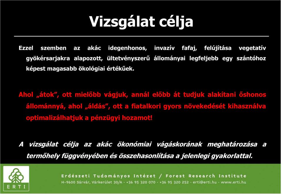 Ahol átok, ott mielőbb vágjuk, annál előbb át tudjuk alakítani őshonos állománnyá, ahol áldás, ott a fiatalkori gyors