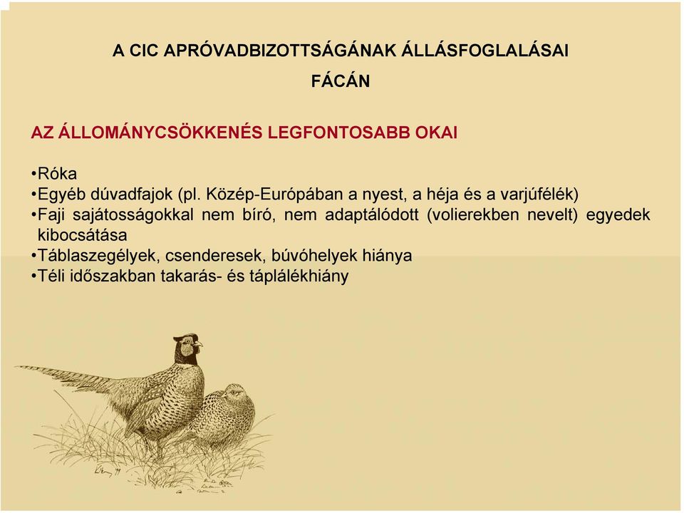 Közép-Európában a nyest, a héja és a varjúfélék) Faji sajátosságokkal nem bíró, nem