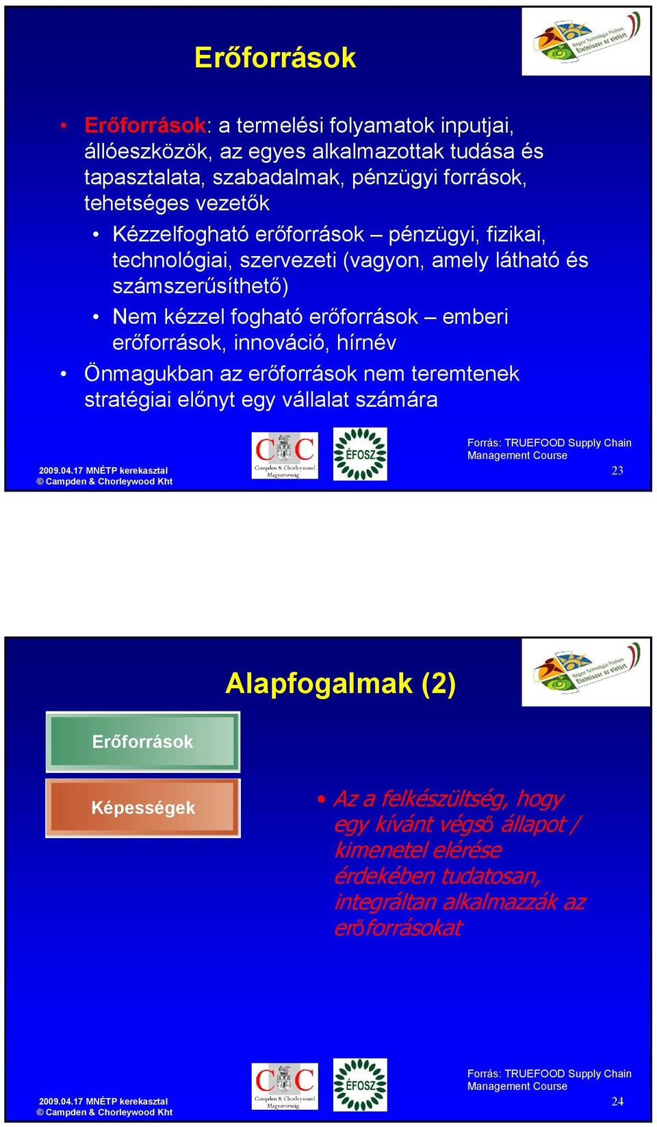 erıforrások nem teremtenek stratégiai elınyt egy vállalat számára 2009.04.