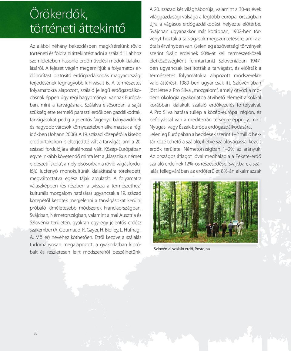 A természetes folyamatokra alapozott, szálaló jellegű erdőgazdálkodásnak éppen úgy régi hagyományai vannak Európában, mint a tarvágásnak.