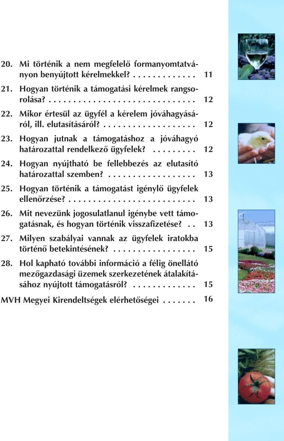 Hogyan nyújtható be fellebbezés az elutasító határozattal szemben?.................. 25. Hogyan történik a támogatást igénylô ügyfelek ellenôrzése?.......................... 26.