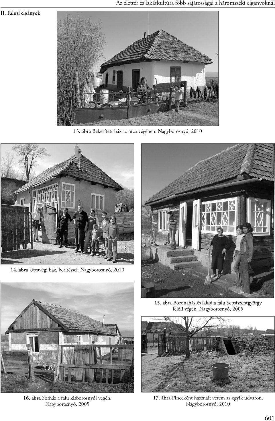 Nagyborosnyó, 2010 15. ábra Boronaház és lakói a falu Sepsiszentgyörgy felőli végén. Nagyborosnyó, 2005 16.
